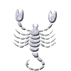 scorpion